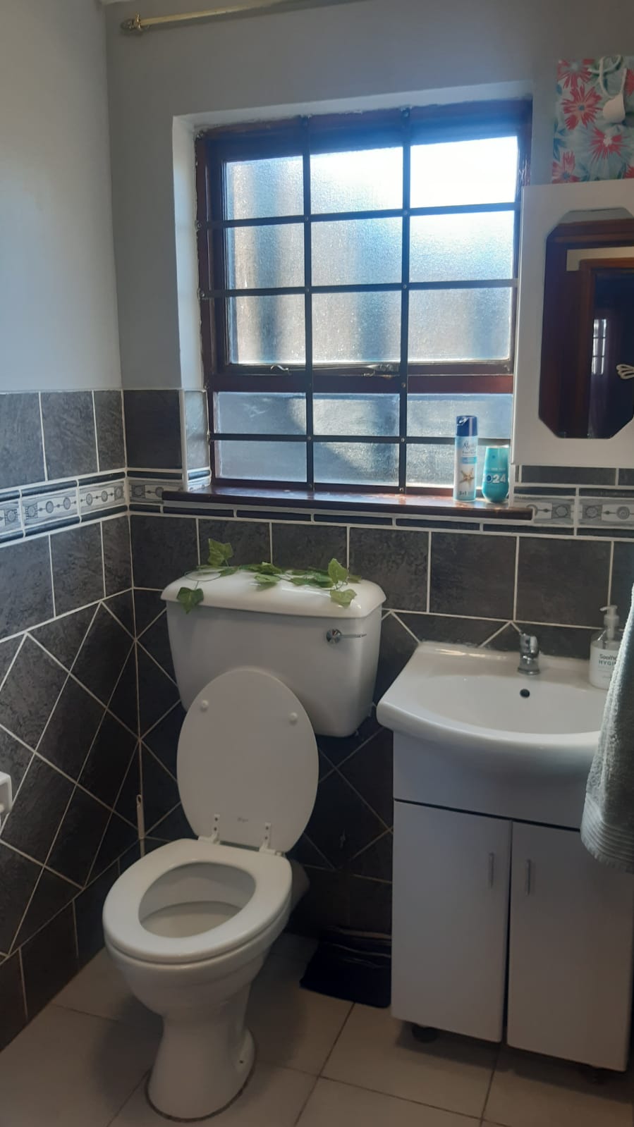 To Let 3 Bedroom Property for Rent in Dana Bay Western Cape